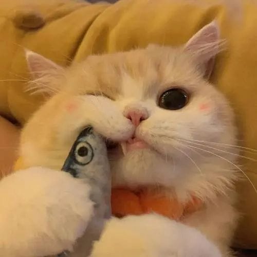 Georgina Wilson avatar